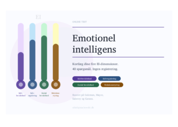 Test emotional intelligence på dansk - Danmarks største af sin slags - infografik