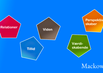 Værdier vist med 5 ord infografik af Leder Nikolaj Mackowski
