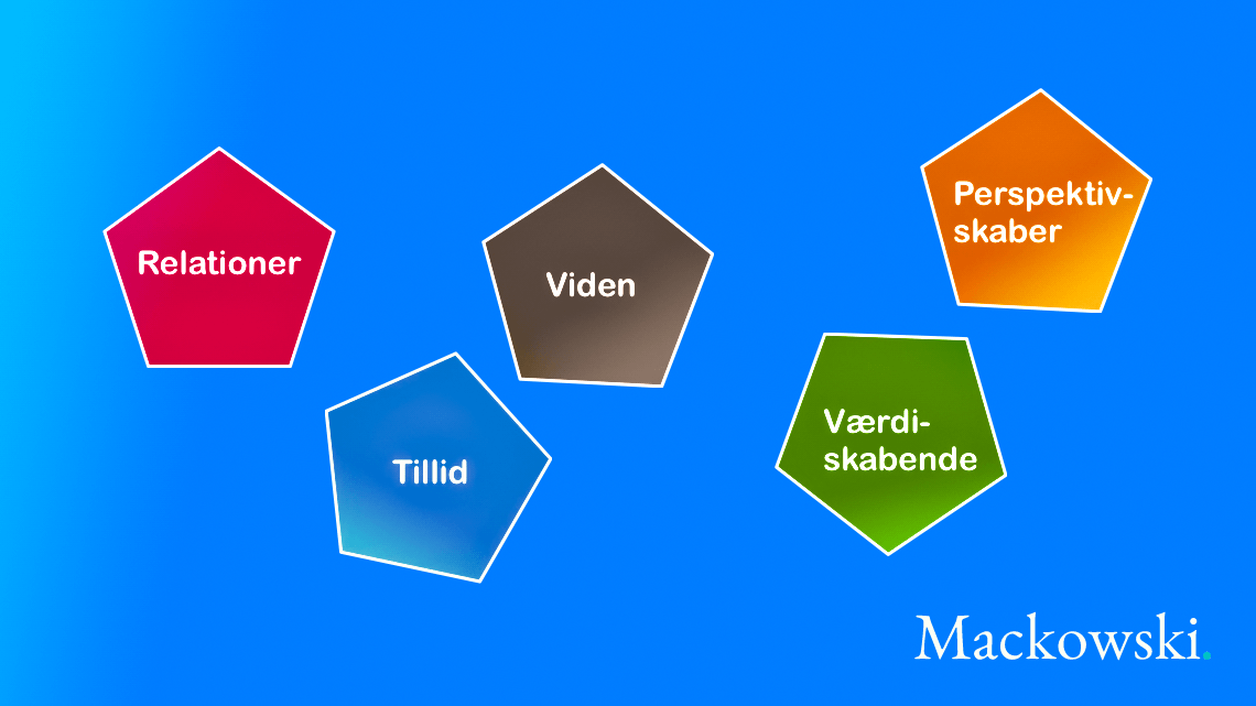 Værdier vist med 5 ord infografik af Leder Nikolaj Mackowski