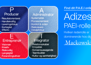 adizes lederroller online test futuristisk infografik
