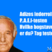 adizes lederroller test Ichak ham selv plus info om PAEI-testen