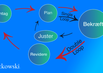 double-loop learning infografik på dansk
