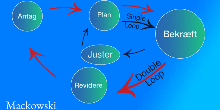 double-loop learning infografik på dansk