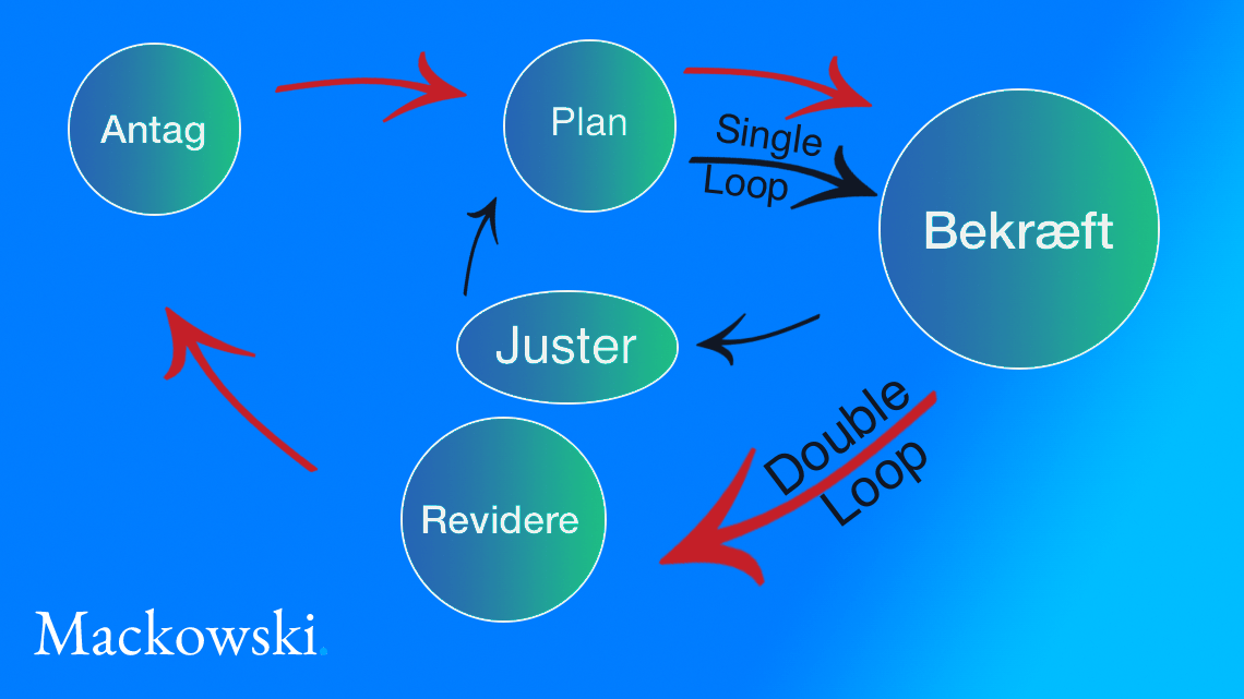 double-loop learning infografik på dansk