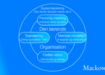 Den lærende organisation V2.1 infografik af Leder Nikolaj Mackowski