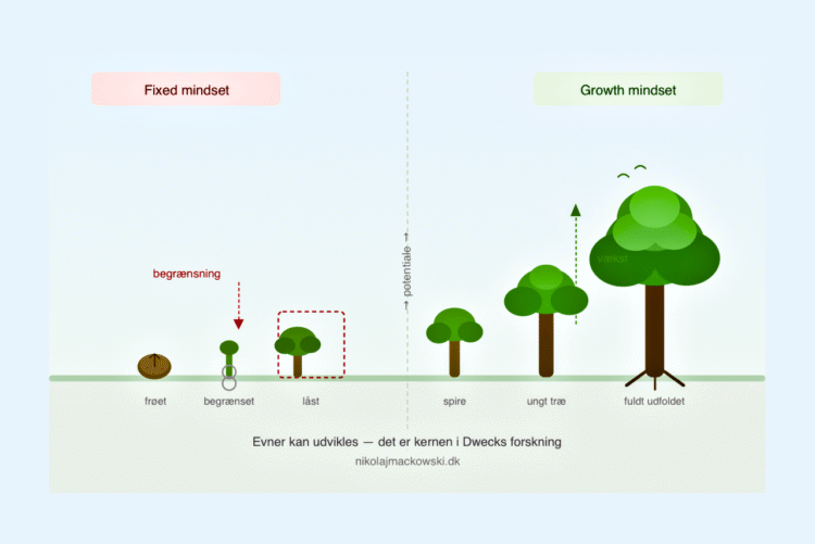 Fixed eller growth mindset test - et lille træ og et voksende træ