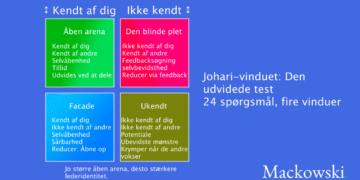 Johari-vindue test udvidet med 24 spørgsmål infografik