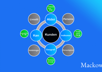 Kundesegmentering generelt infografik på dansk V2.1 Leder Nikolaj Mackowski
