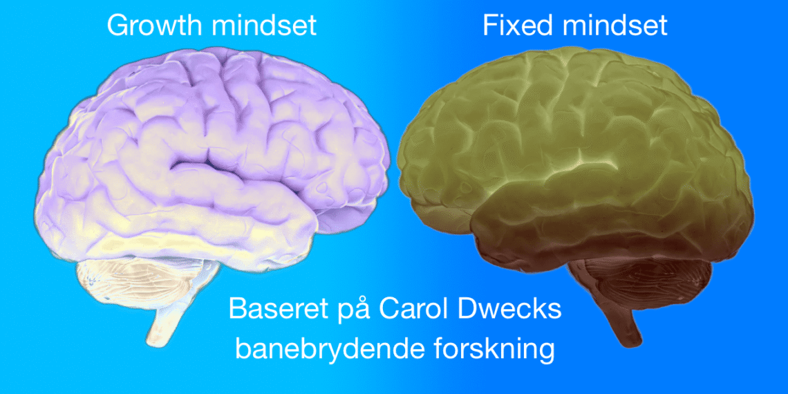 Mindset test to hjerner overfor hinanden som metafor for growth mindset og fixed mindset