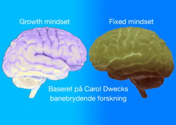 Mindset test to hjerner overfor hinanden som metafor for growth mindset og fixed mindset