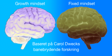 Mindset test to hjerner overfor hinanden som metafor for growth mindset og fixed mindset