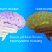 Mindset test to hjerner overfor hinanden som metafor for growth mindset og fixed mindset