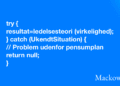 Når ledelsesteori rammer sine begrænsninger try catch funktion