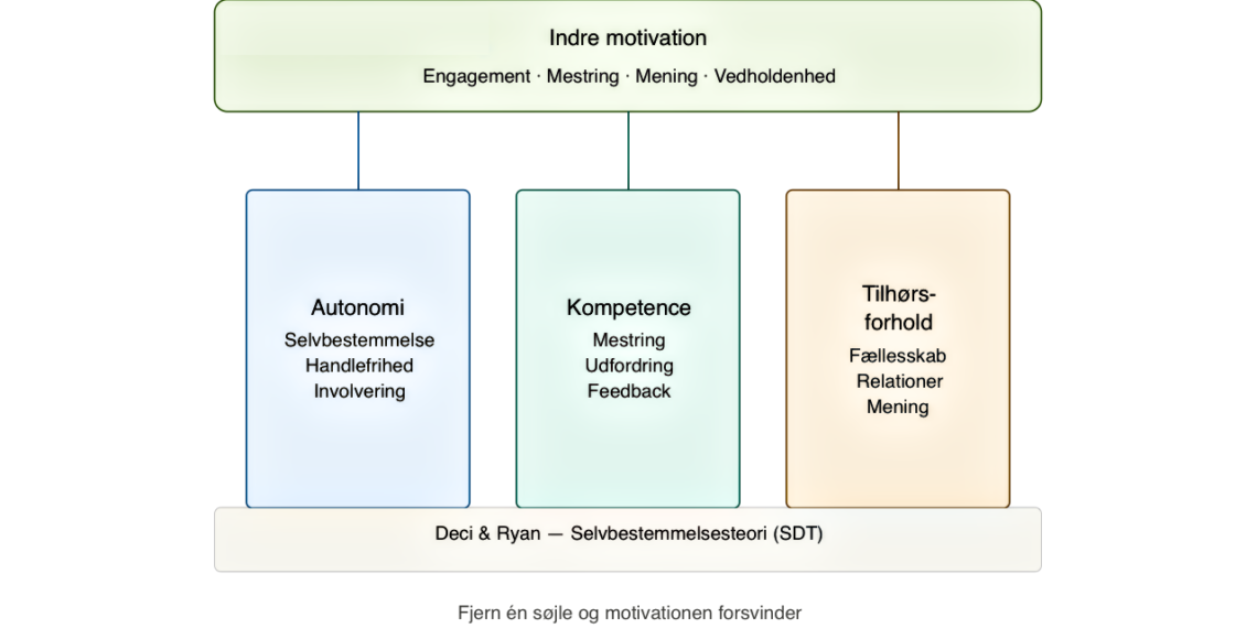 Selvbestemmelsesteori test 3 søjler infografik V2.1 [C] 2026 LNM.