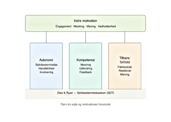Selvbestemmelsesteori test 3 søjler infografik V2.1 [C] 2026 LNM.