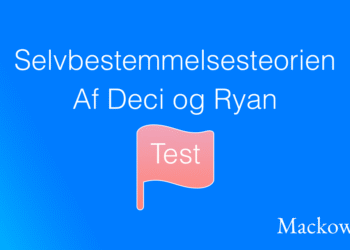 Selvbestemmelsesteori test af Deci og Ryan infografik på dansk LNM (C) 2026