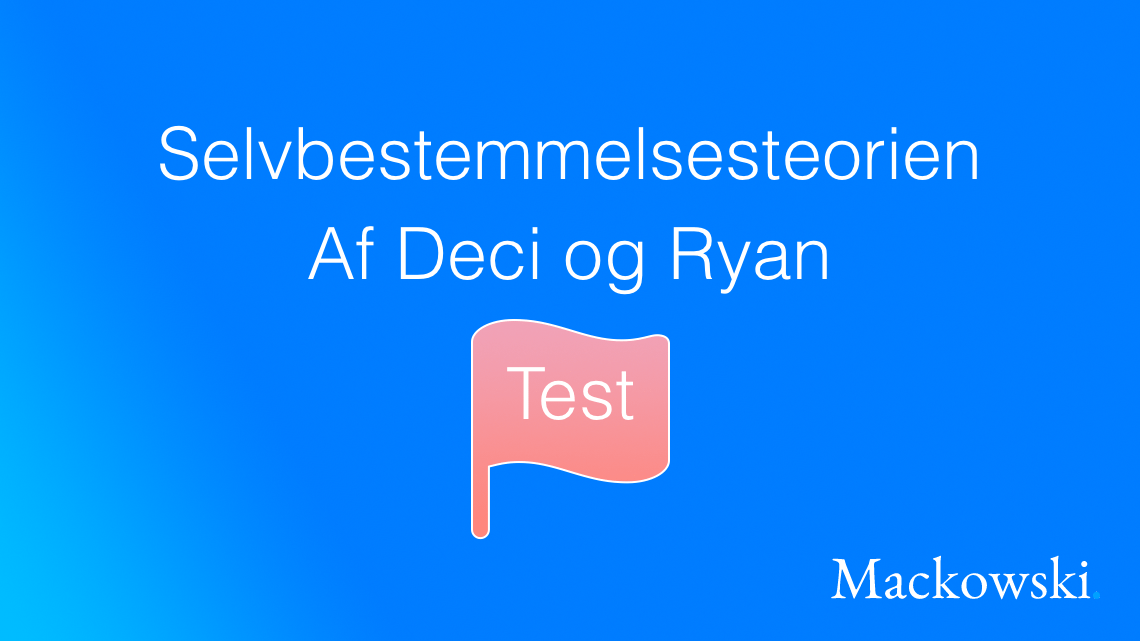Selvbestemmelsesteori test af Deci og Ryan infografik på dansk LNM (C) 2026