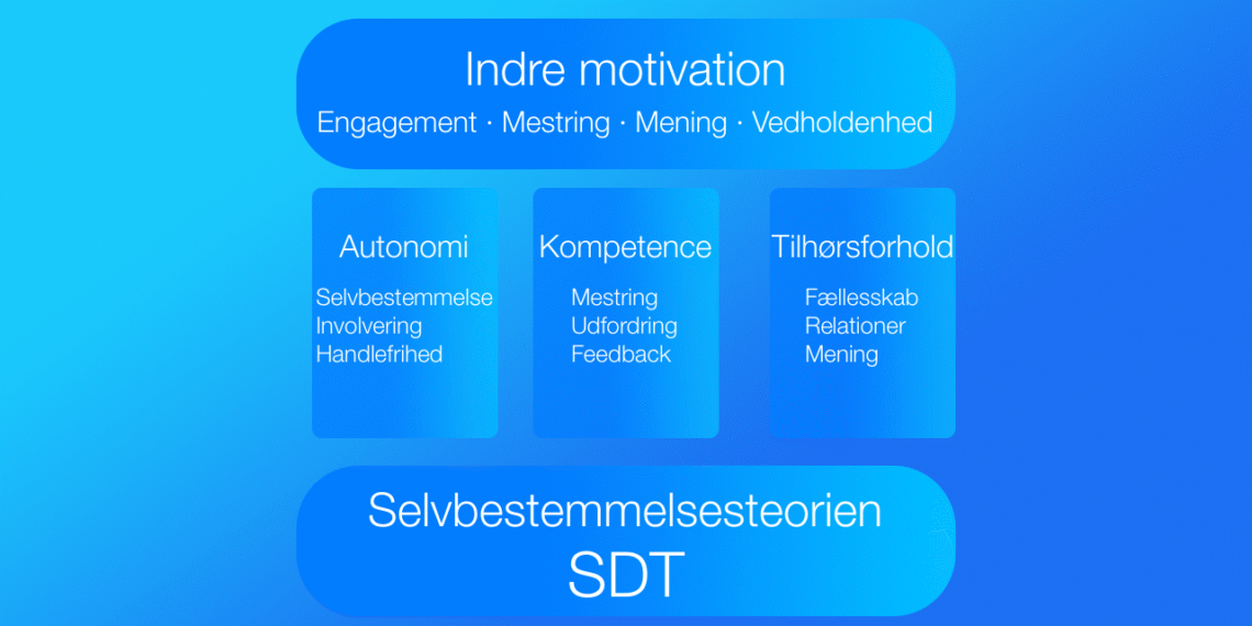 Selvbestemmelsesteorien SDT online test lavet med blå søjler