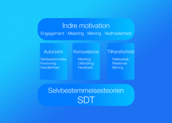 Selvbestemmelsesteorien SDT online test lavet med blå søjler