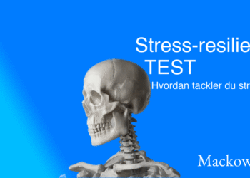 Stress resiliens-test: Hvordan håndterer du pres fra 4 dimensioner
