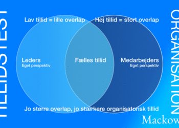 Tillid test til organisation og medarbejder og chef infografik