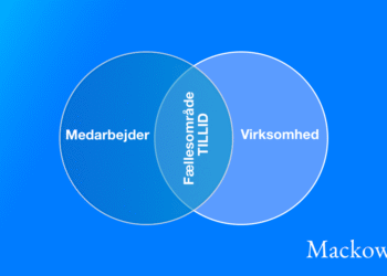 Tillid test til organisation og medarbejder og chef infografik FINAL