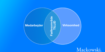 Tillid test til organisation og medarbejder og chef infografik FINAL