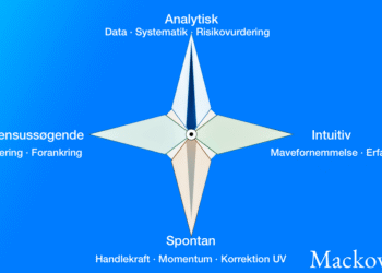 beslutningsproces test infografik på dansk hvordan beslutter du