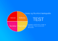 Honey og Mumford læringsstile test på dansk af LNM 2026 V1.3