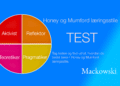Honey og Mumfordi læringsstile test infografik på dansk af LNM 2026 (C) 1140x641px