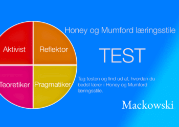 Honey og Mumfordi læringsstile test infografik på dansk af LNM 2026 (C) 1140x641px