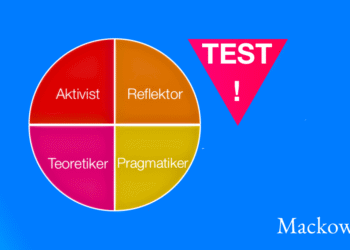 Honey og Mumfordi læringsstile test infografik på dansk af LNM 2026 V3.2 (C) 1140x641px