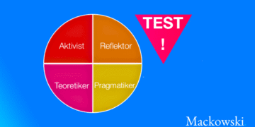 Honey og Mumfordi læringsstile test infografik på dansk af LNM 2026 V3.2 (C) 1140x641px