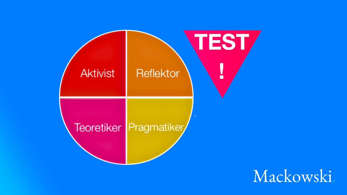 Honey og Mumfordi læringsstile test infografik på dansk af LNM 2026 V3.2 (C) 1140x641px