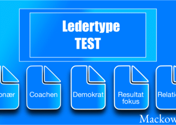 Ledertype test der er 5 typer infografik LNM (C)2016 V1.3
