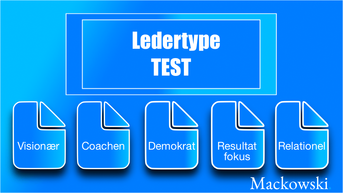 Ledertype test der er 5 typer infografik LNM (C)2016 V1.3