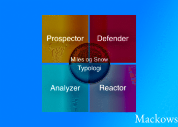Miles og Snow strategi 1140x641px infografik med overlay V.3.1