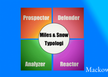 Miles og Snow strategi- Prospector, Defender, Analyzer, Reactor