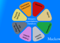 Morgans organisationsmetaforer infografik på dansk af Leder Nikolaj Mackowski