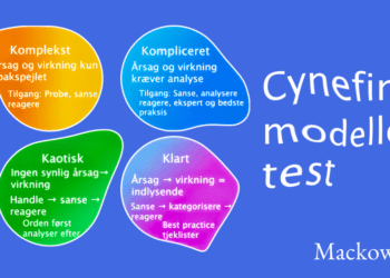 Cynefin modellen test Art Photo Leder Nikolaj Mackowski