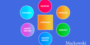 Hofstedes kulturdimensioner test infografik af Leder Nikolaj Mackowski