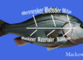 Ishikawa-diagrammet infografik med levende fisk