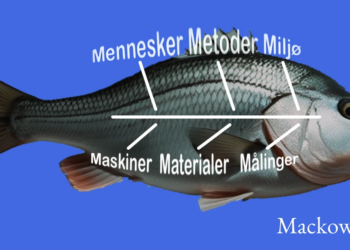 Ishikawa-diagrammet infografik med levende fisk
