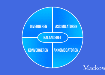 Kolbs læringscirkel test infografik af Leder Nikolaj Mackowski